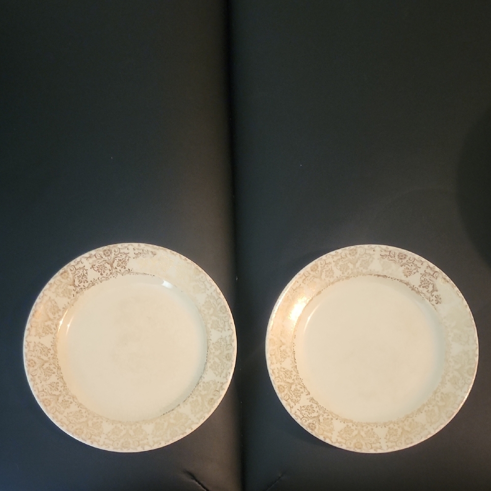 Elegant Cream and Gold Dinner Plates